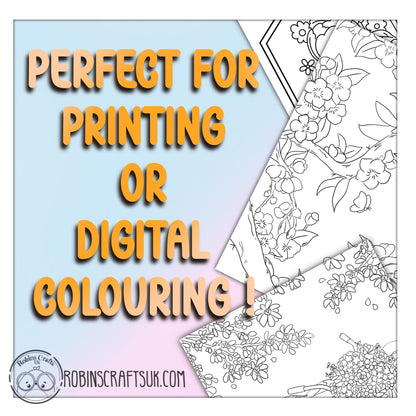 Quaint retreat : colouring book