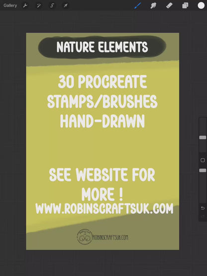 Nature elements stamps - procreate stamps/brushes - digital use only - procreate